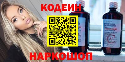 индика Можга
