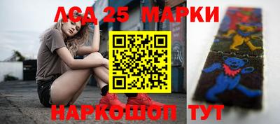 индика Можга