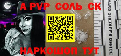индика Можга