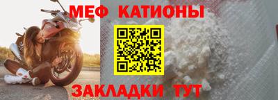 индика Можга