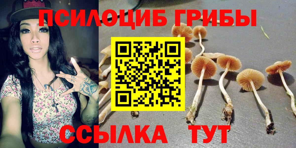 Урюпинск  Псилоцибиновые грибы Psilocybine cubensis  Вход с VPN  Галлюциногенные грибы Psilocybine cubensis 